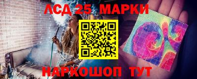 Альфа ПВП Нальчик