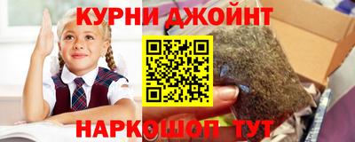 Альфа ПВП Нальчик