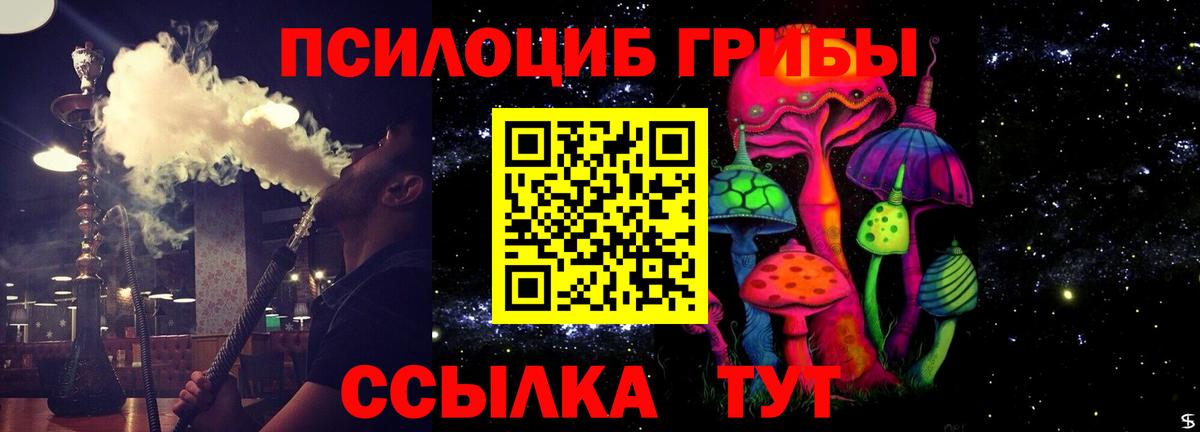 Псилоцибиновые грибы Psilocybe Чайковский