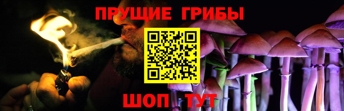 Галлюциногенные грибы ЛСД  даркнет сайт  Чайковский  Вход с VPN 
